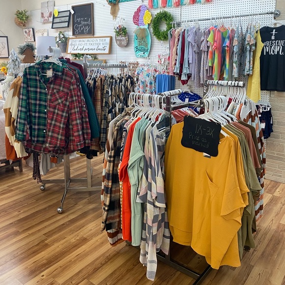 Meet your Posher, Sassy Bella - Picture 5 of 11